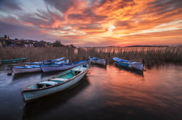 Gölyazı