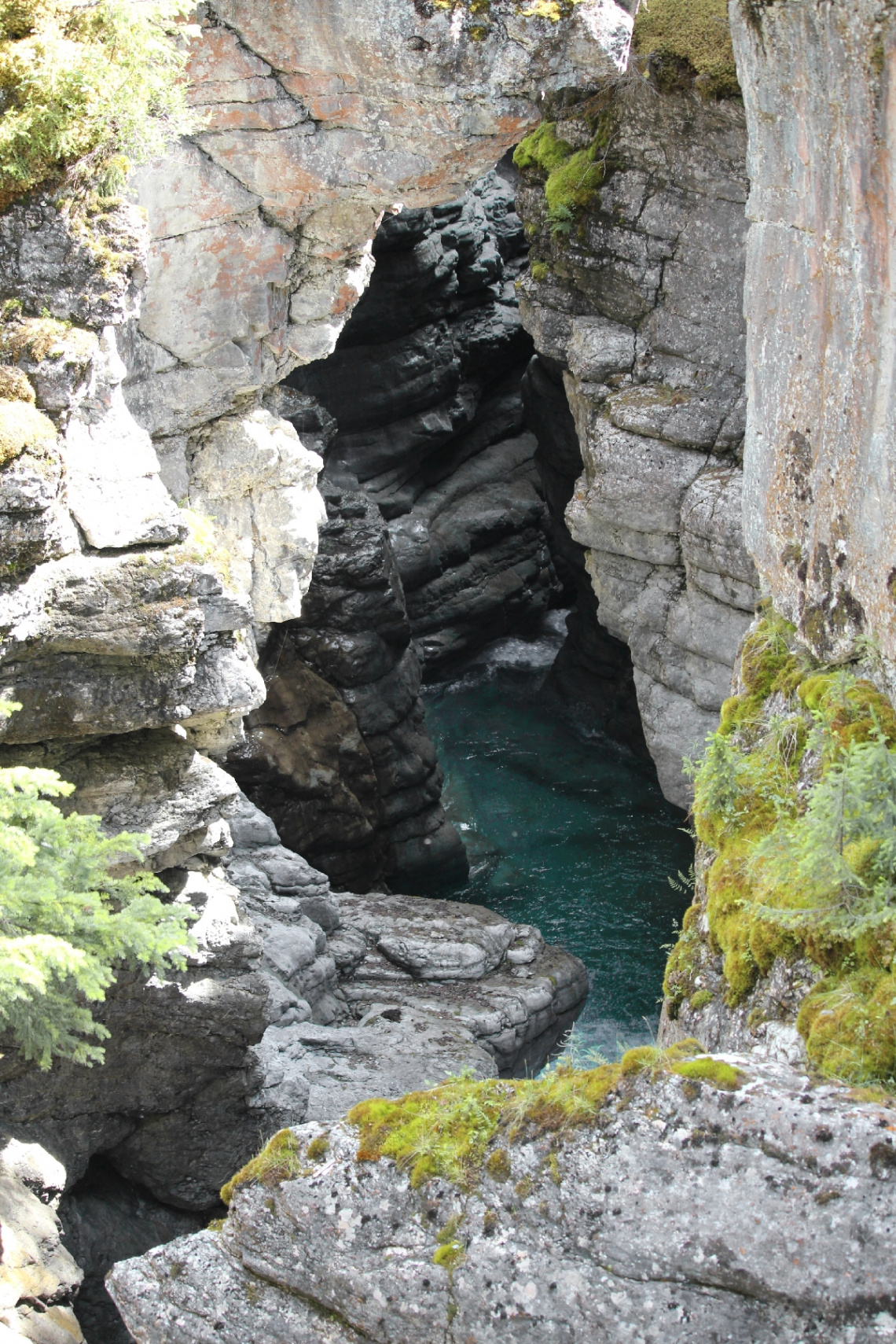 Maligne Canyon, Jasper, Alberta, Canada 