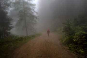 Yayla Yollarında.