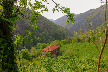 Sakarya doğançay köyü 