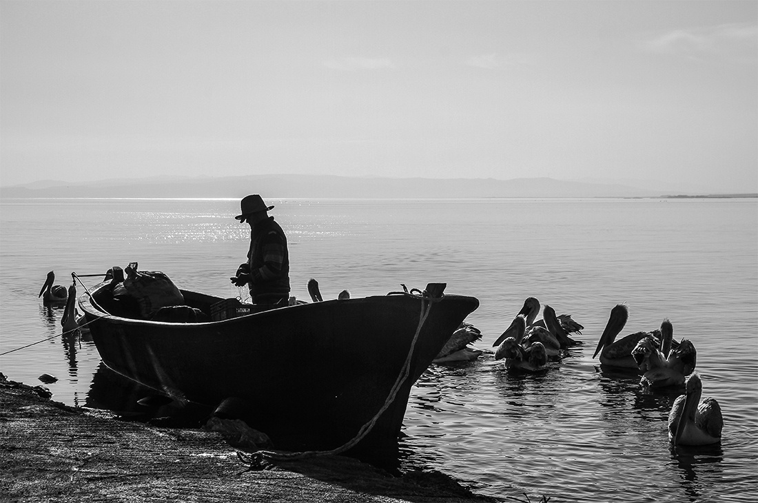 Balıkçı,  Manyas