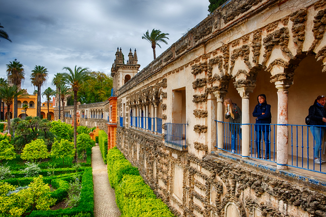 Alcazar Sarayı - Sevilla