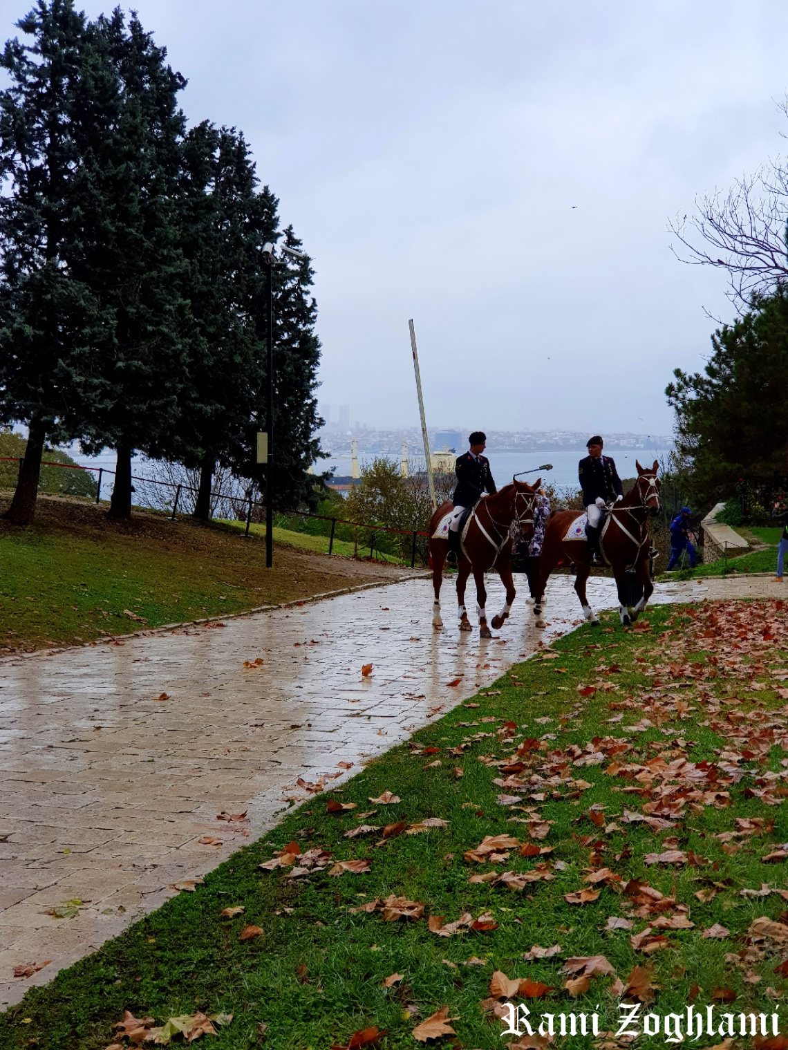 TopKapi Horses