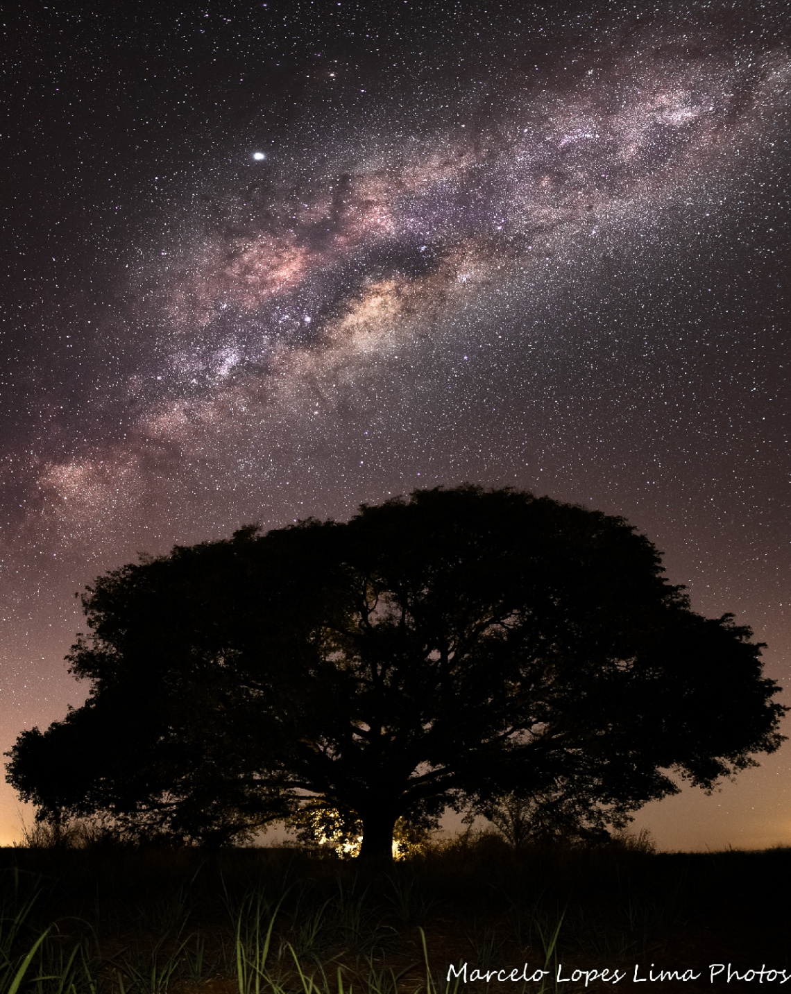 Saída fotográfica 30/06/2019