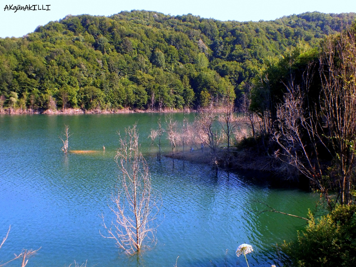 biraz huzur