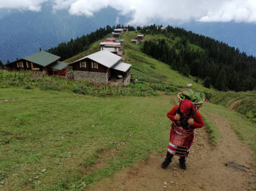 Pokut Yaylasında yaşam