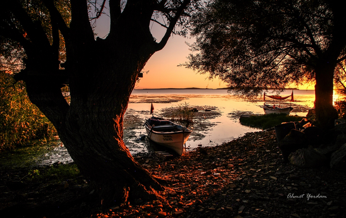 Gölyazı