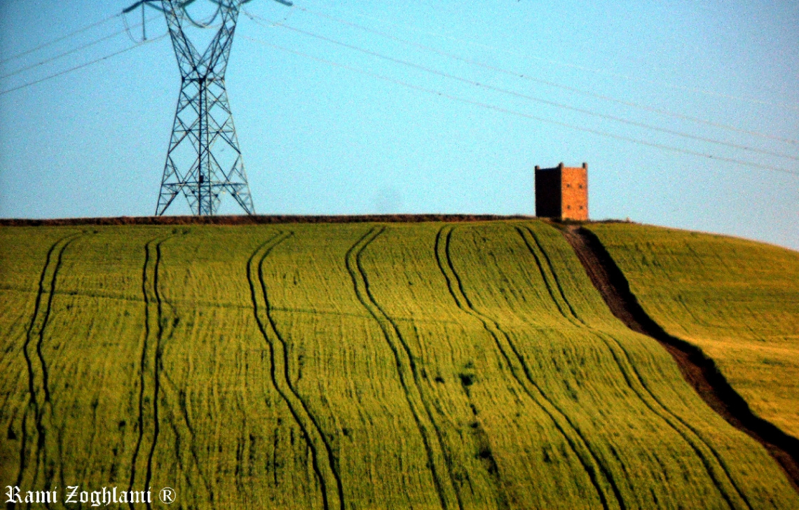 Green Fields