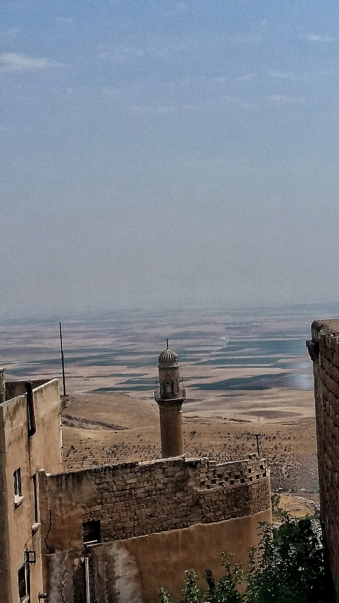 Mardin 