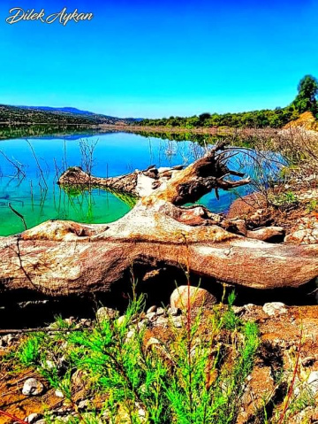 Doğanın huzuru