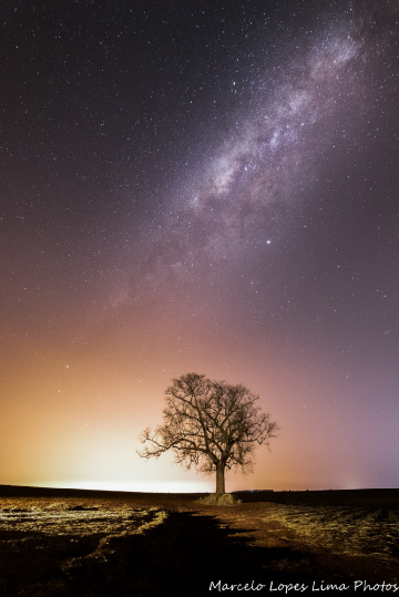 Saída fotográfica 22/09/2019