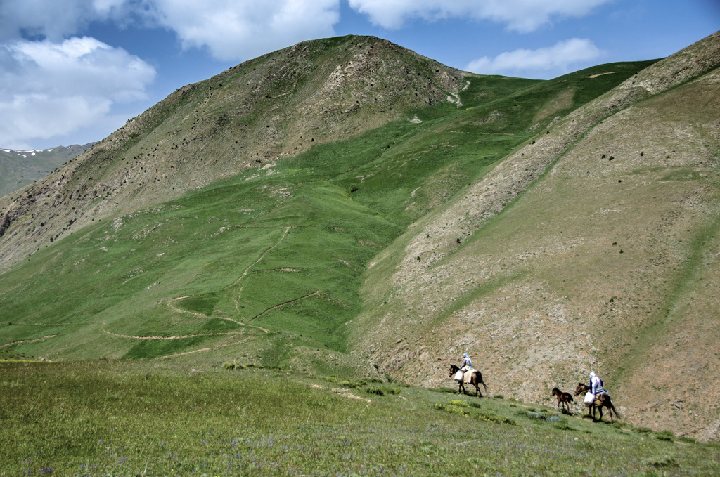 Yayla Yolunda