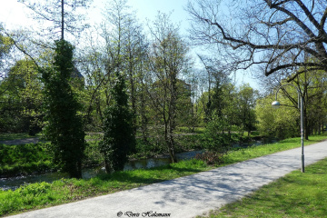 Spazierweg entlang der Alb