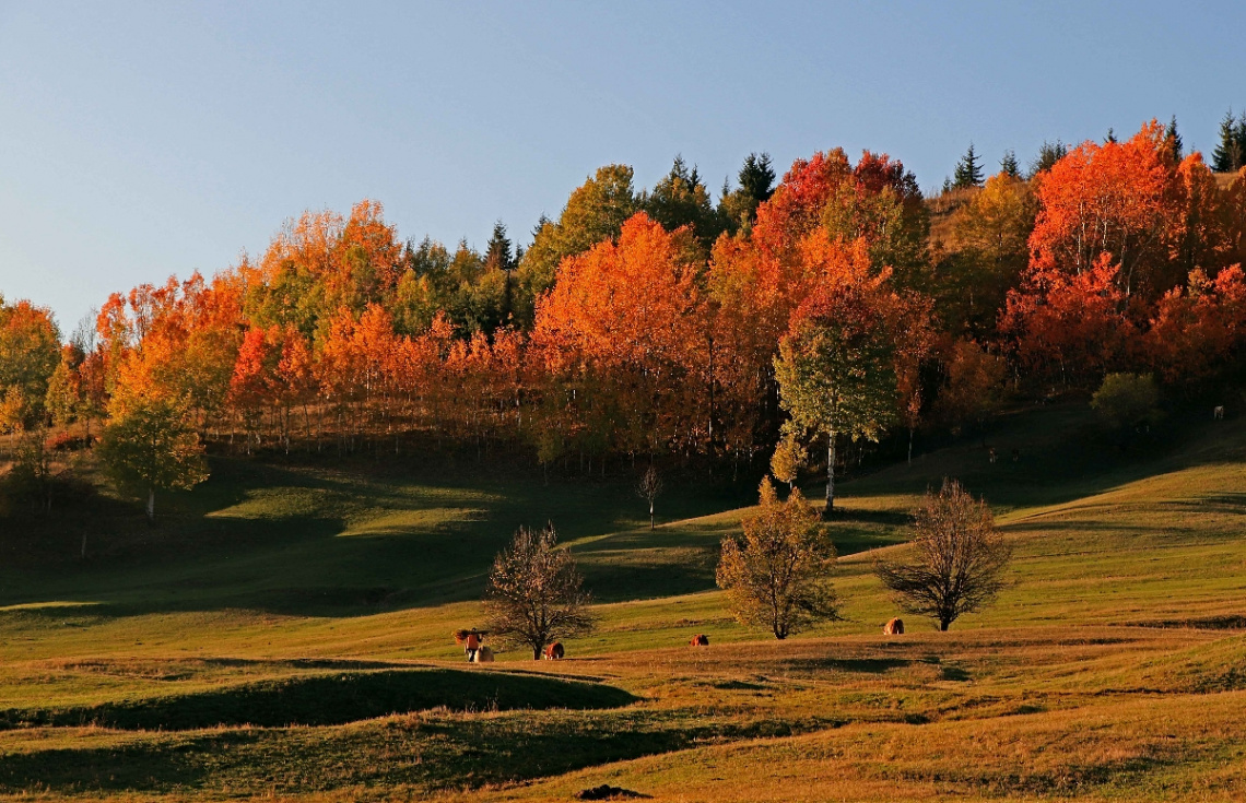 Dönüş Vakti 