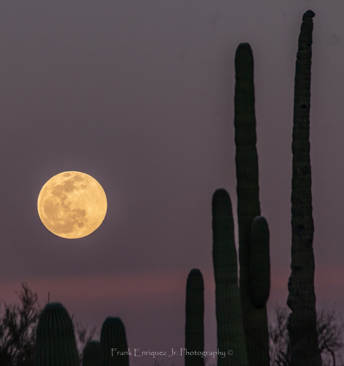 Super Snow Moon From Tucson Arizona