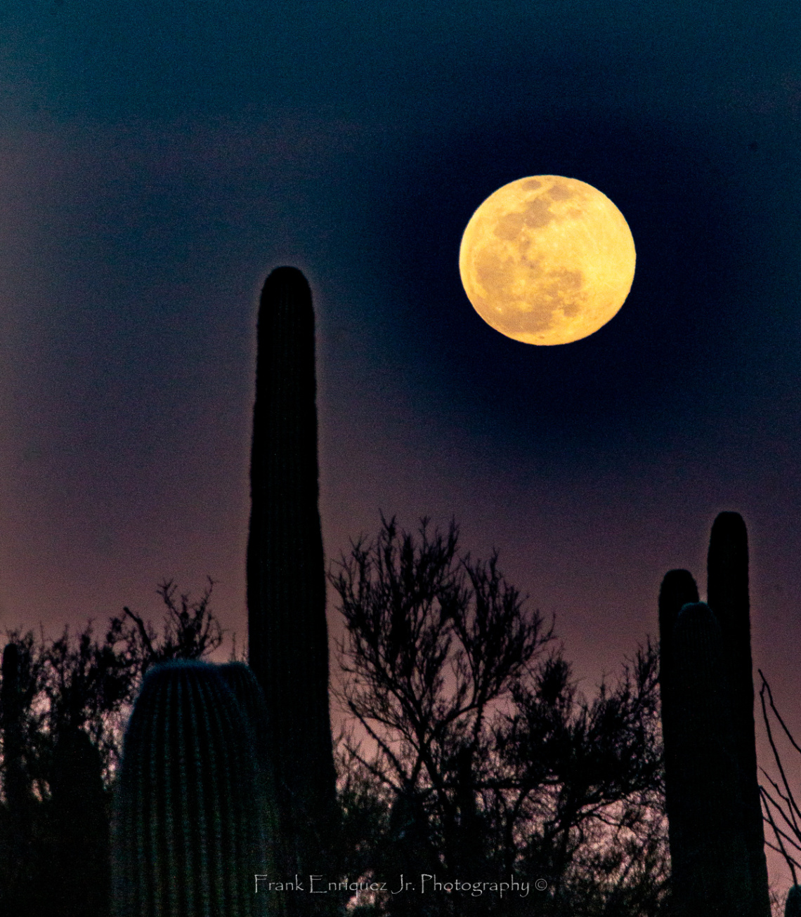 February 2020 Super Snow Moon From Tucson Arizona