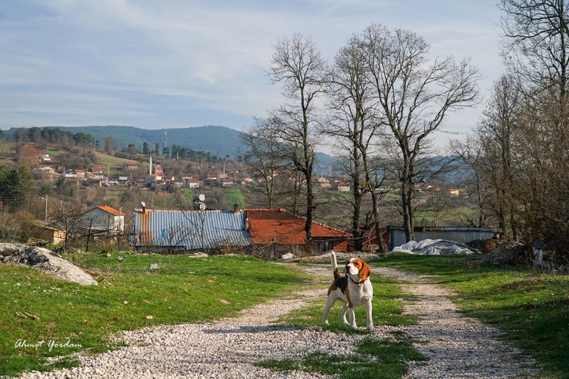 Köy; Mustafakemalpaşa Bursa