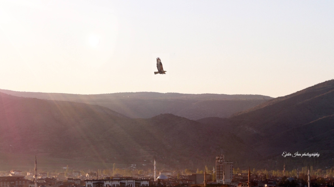 Şehir ve Yaşam