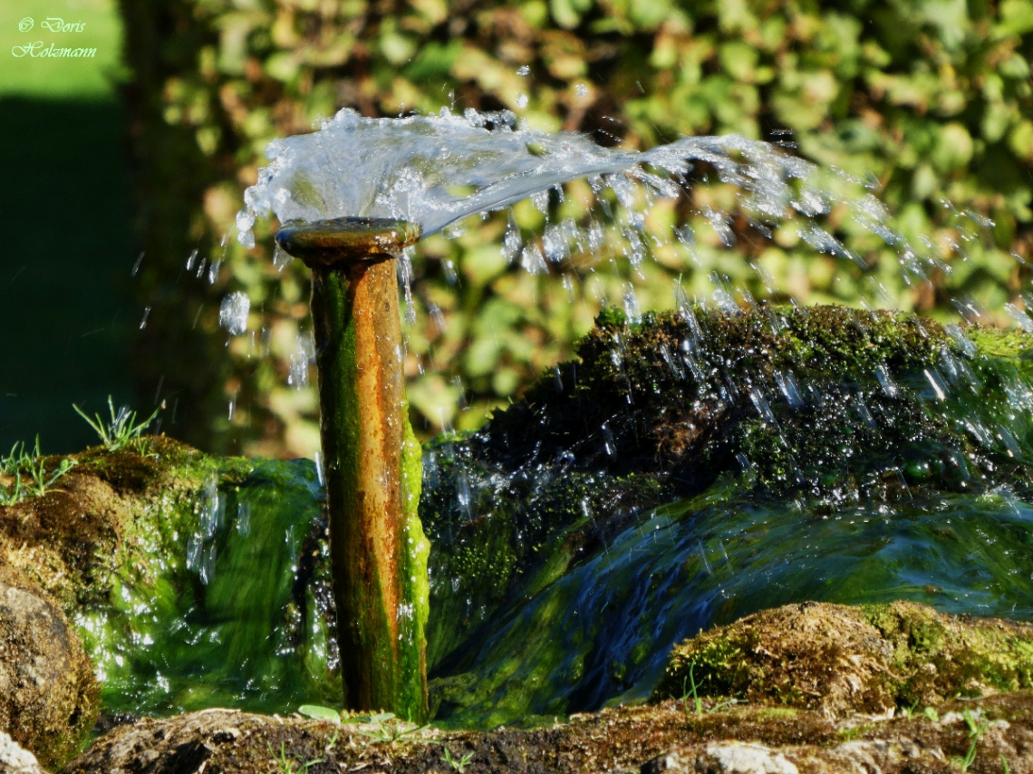 fountain