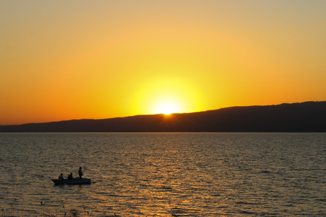 Sakarya/Sapanca