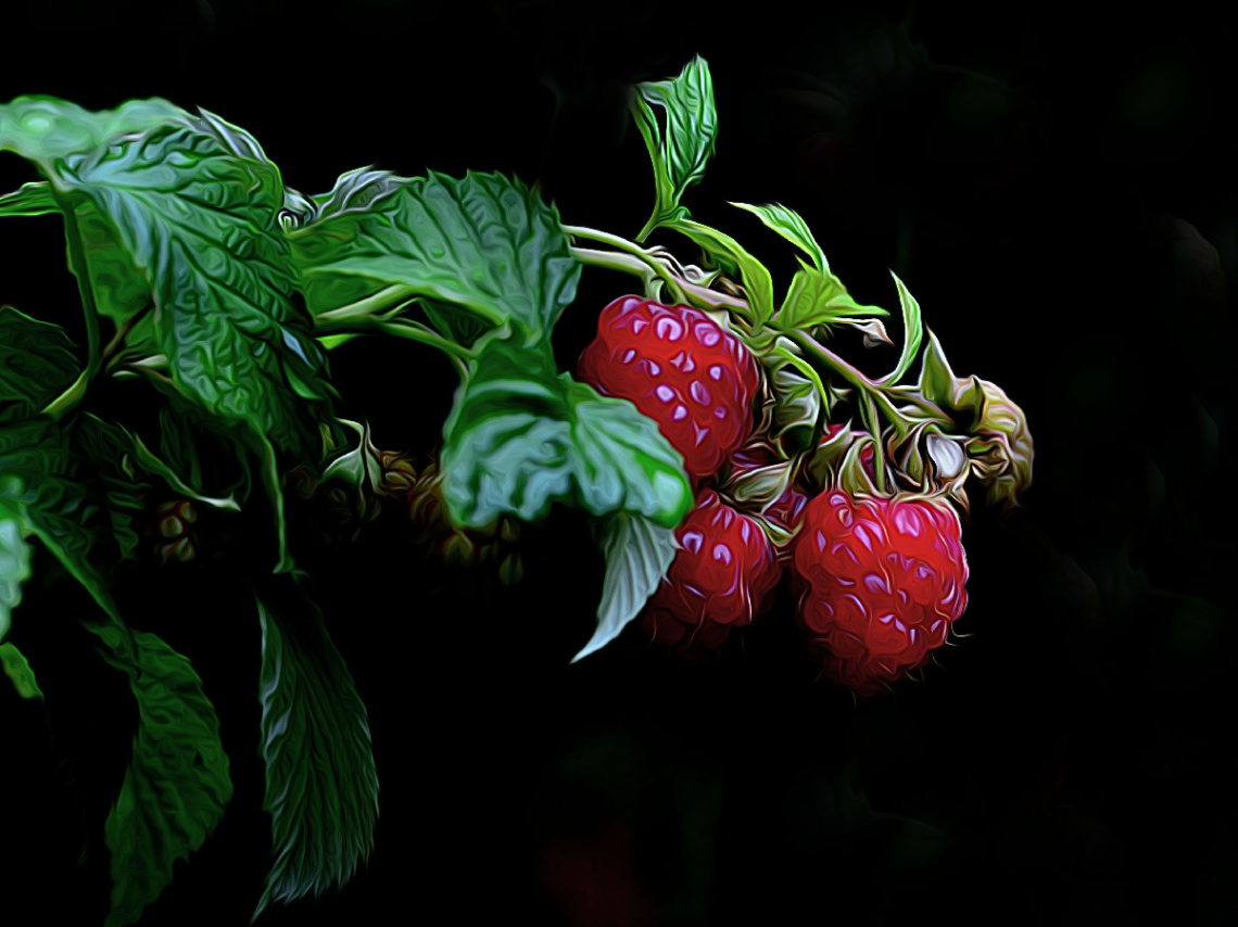 HIMBEEREN 