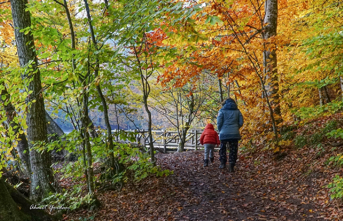 Yedigöller, Bolu  