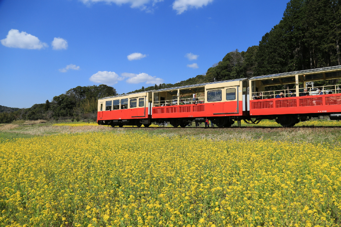 Spring train