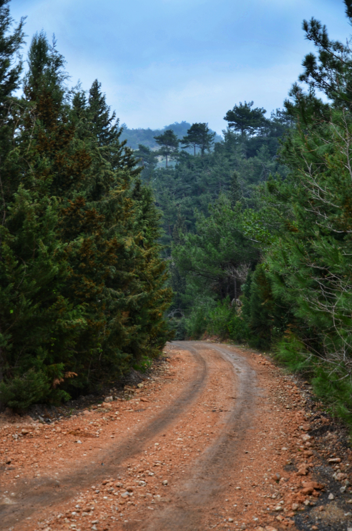 Yayla yolu...