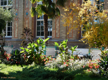 Botanical Garden, Karlsruhe / Germany