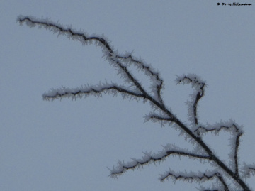 A frosty Wednesday in Karlsruhe / Germany