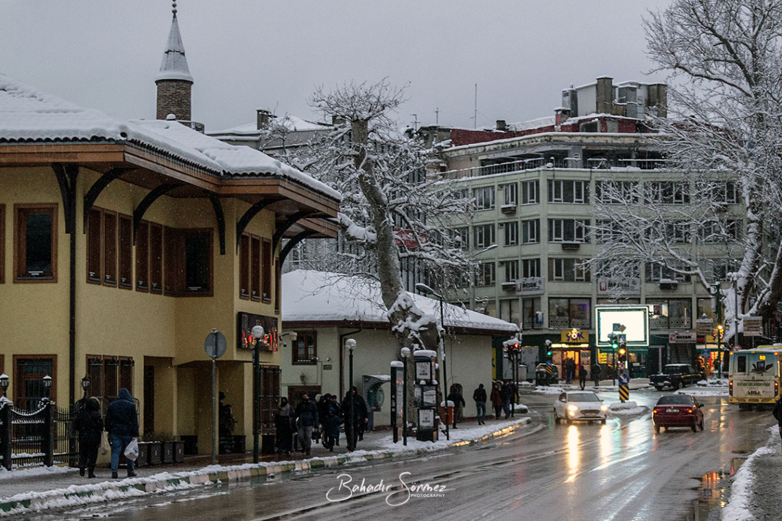 Bursa