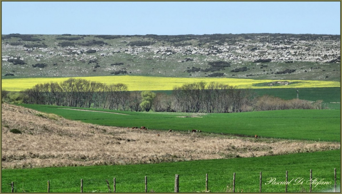 Valle Serrano