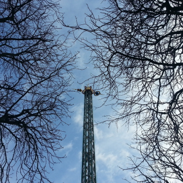 Looking Up