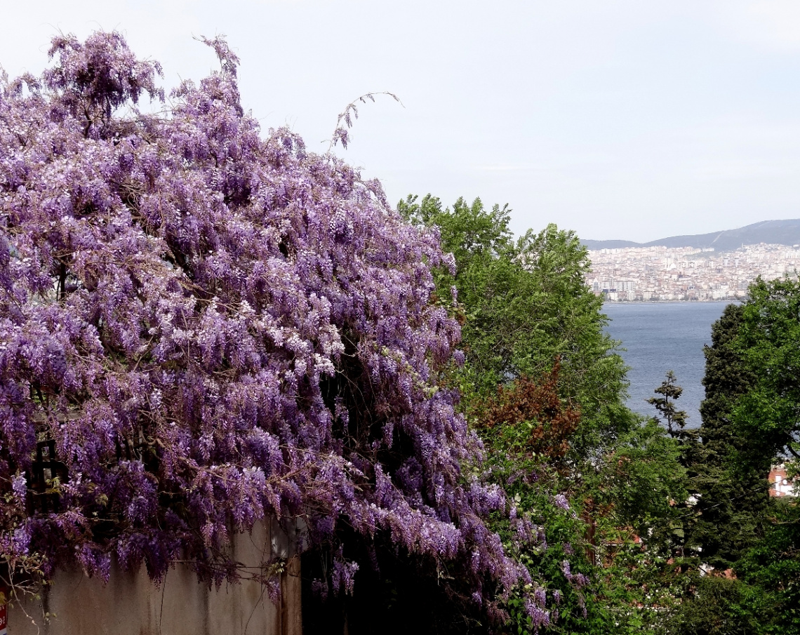 büyükada...