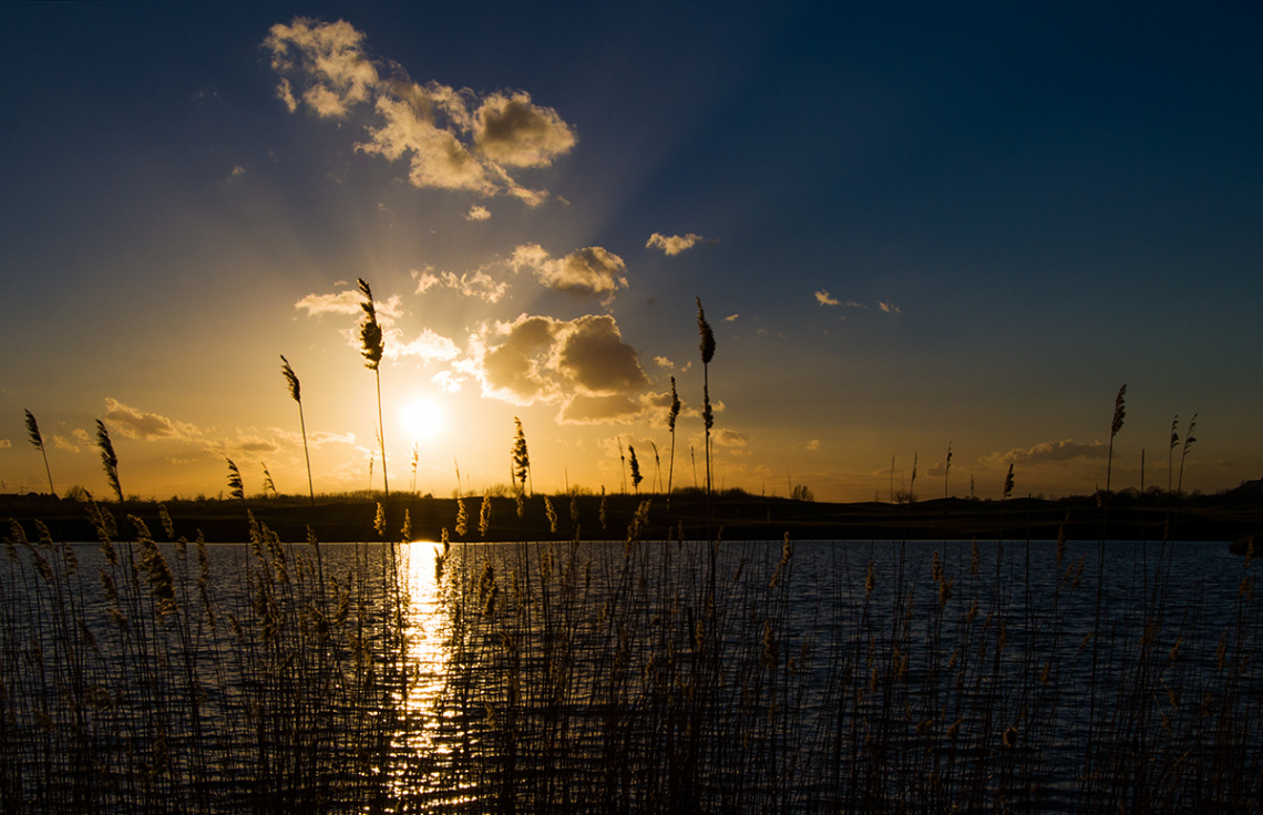 Spring Sunset