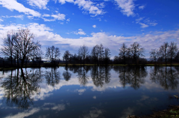 blue reflection