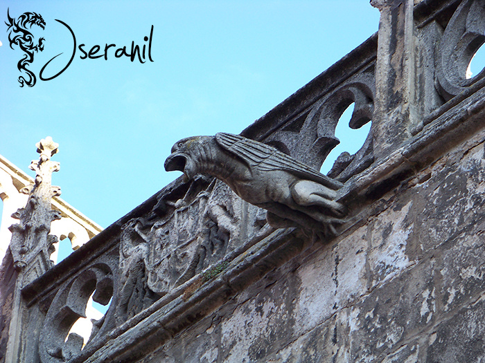 Gargola Catedral de Burgos III