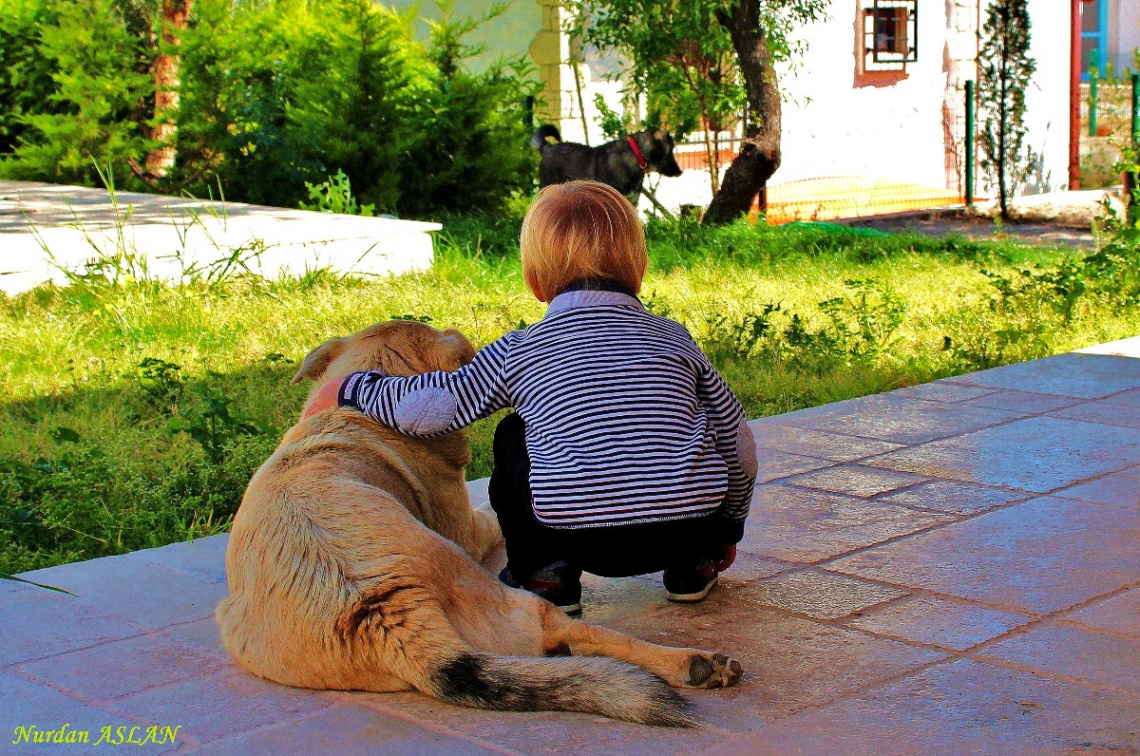 My friend, the dog ıs there. Let's go.. 