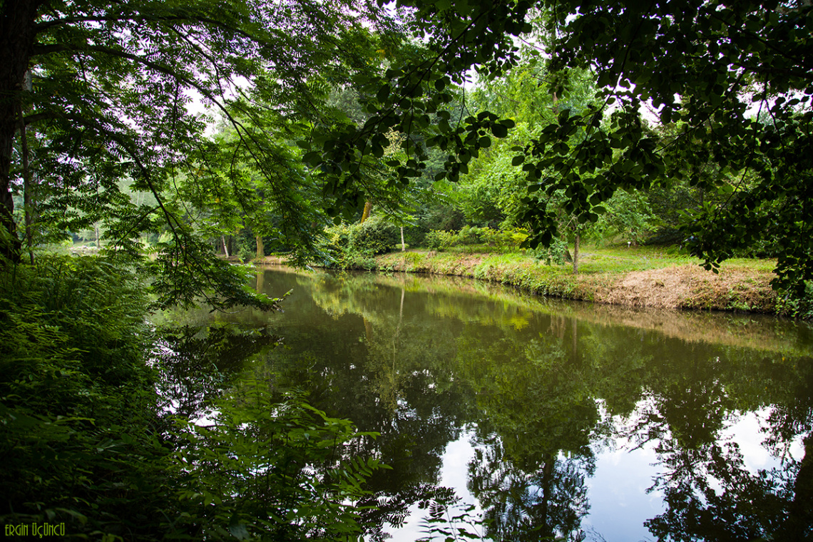 Atatürk Arboretumu II