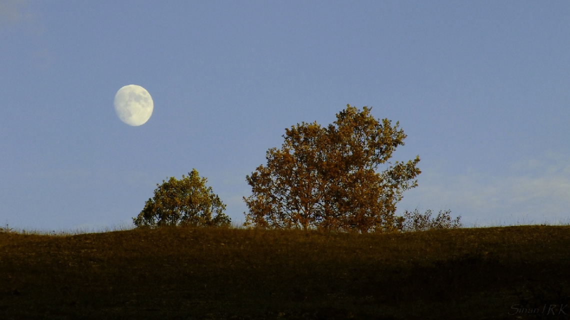 doğa