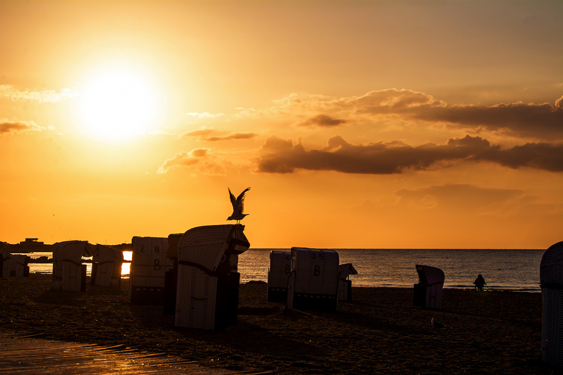 Baltic Sea in the evening sun