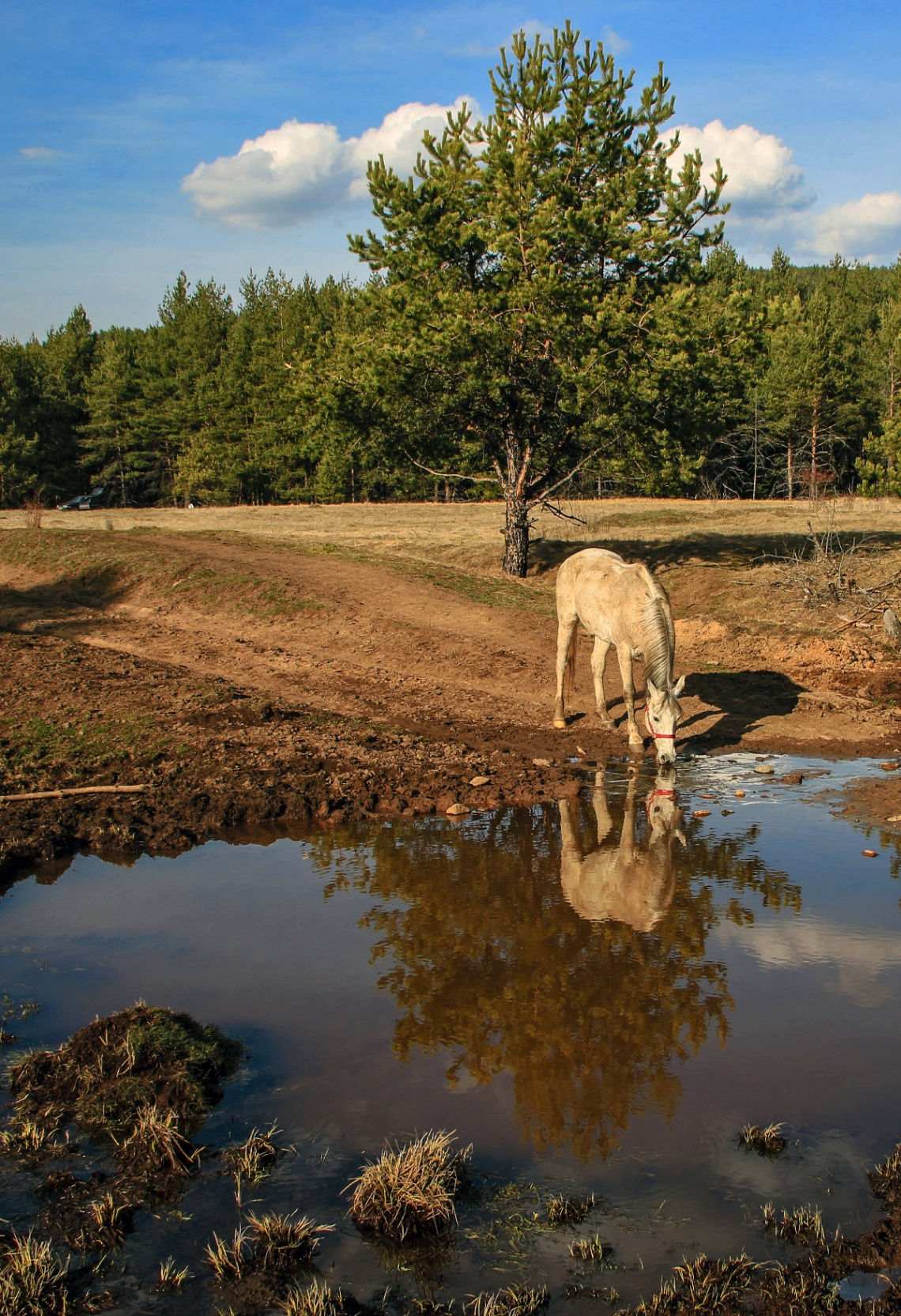 water mirror