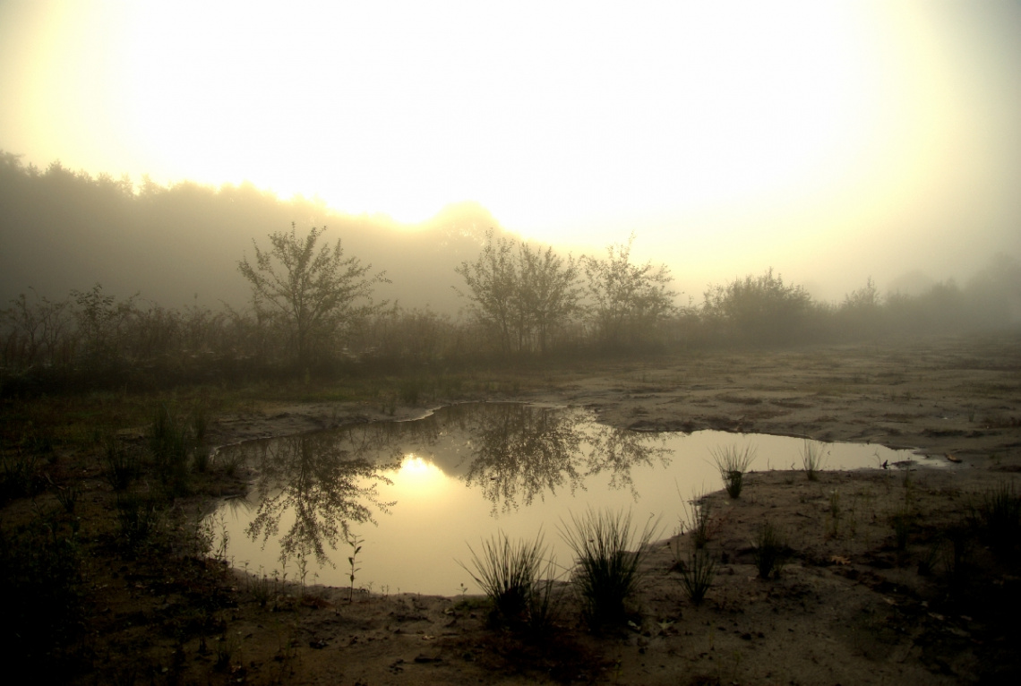 The sun reflects on a misty morning