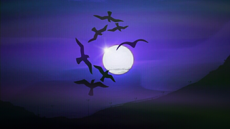 Ravens fly at night 