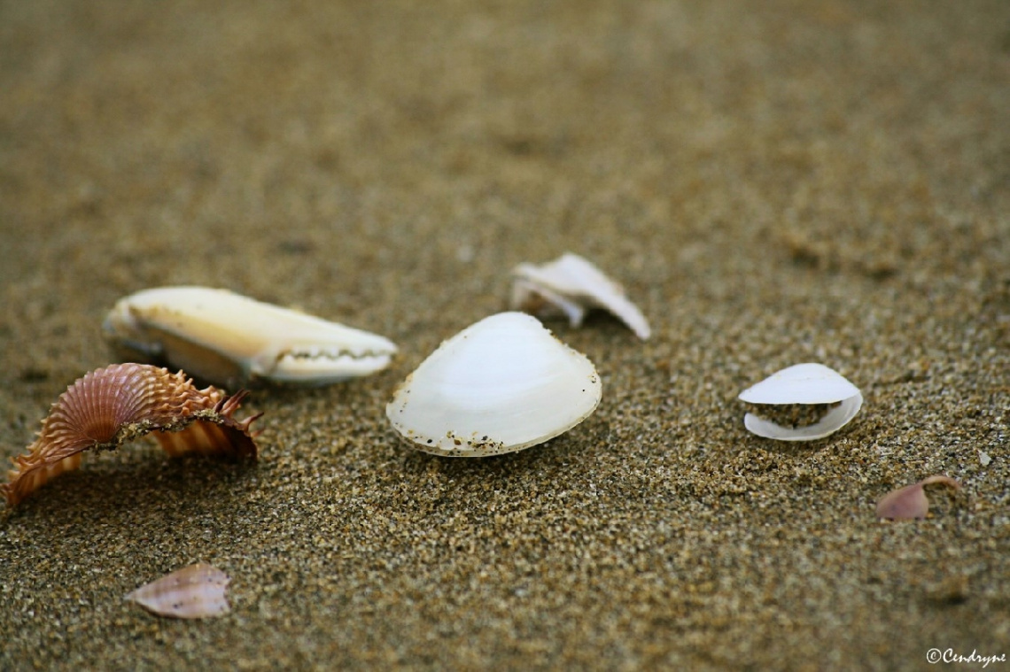 On the sand ...