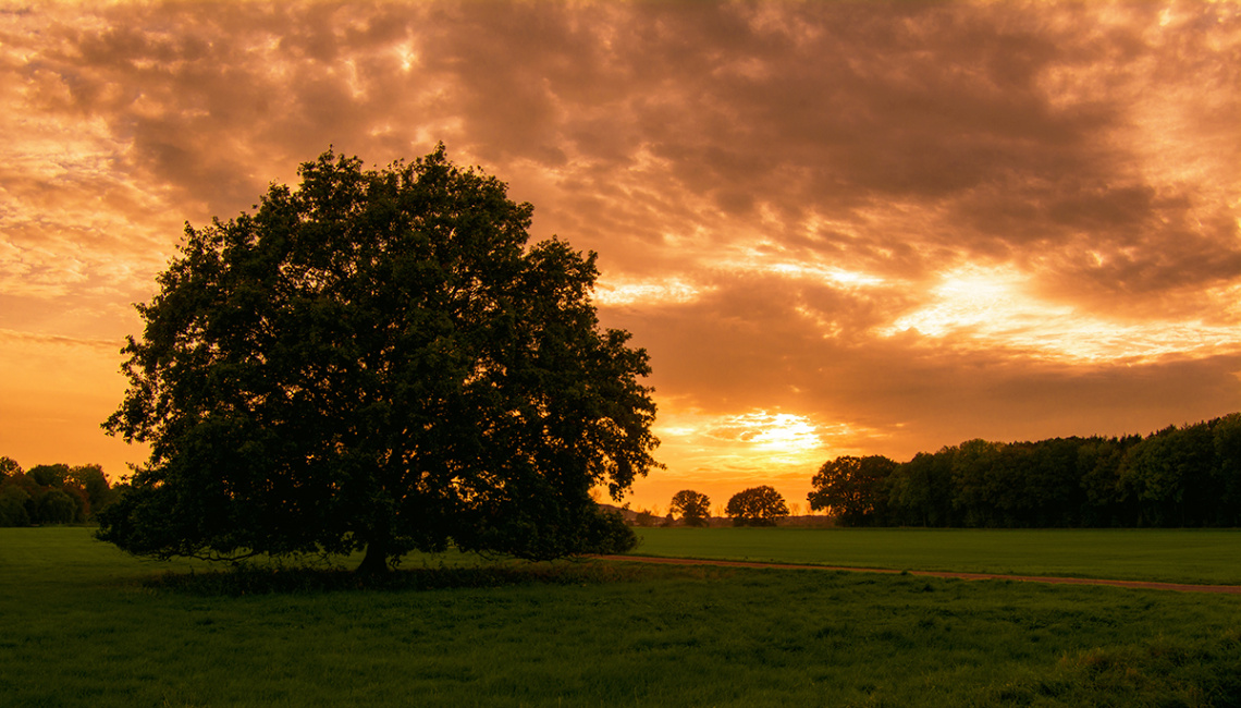 Sky in orange flames