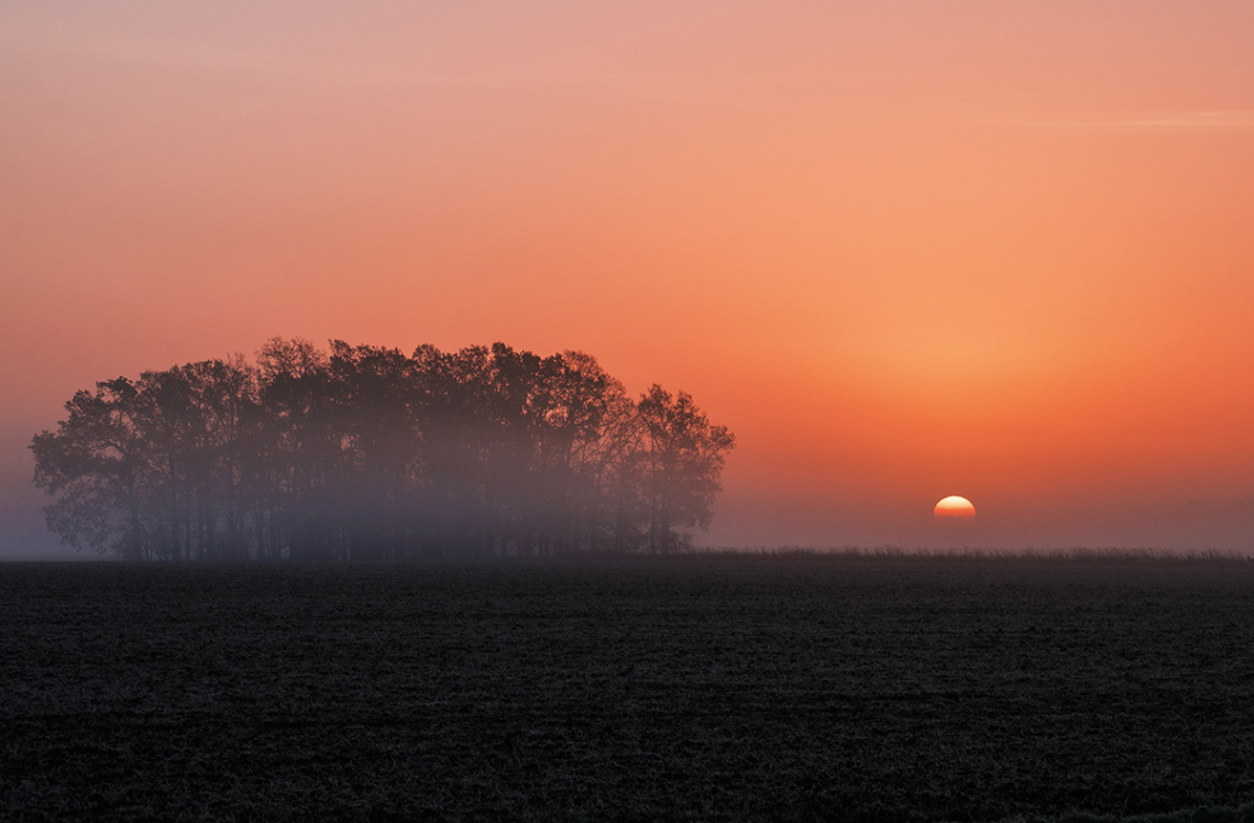 Foggy Morning