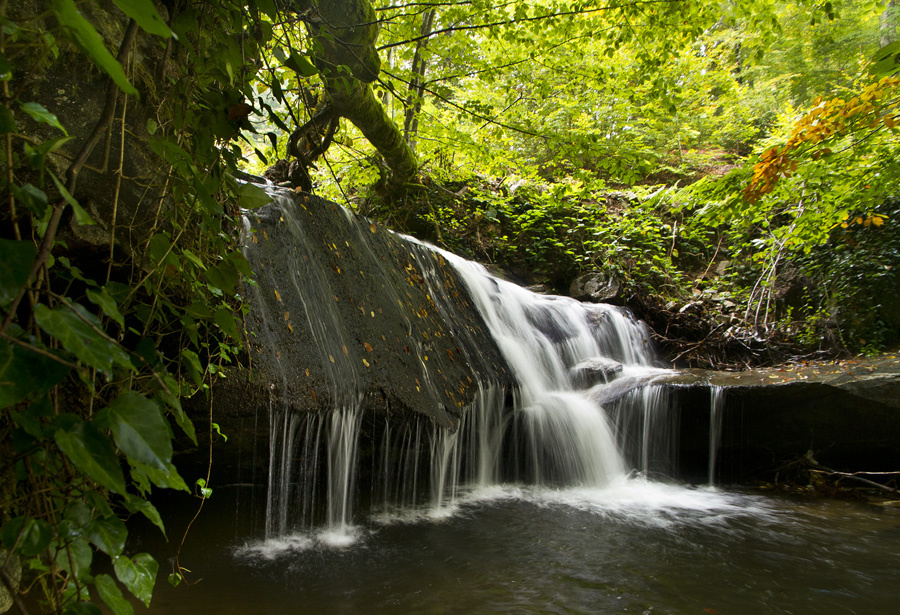 Şelale-Waterfall