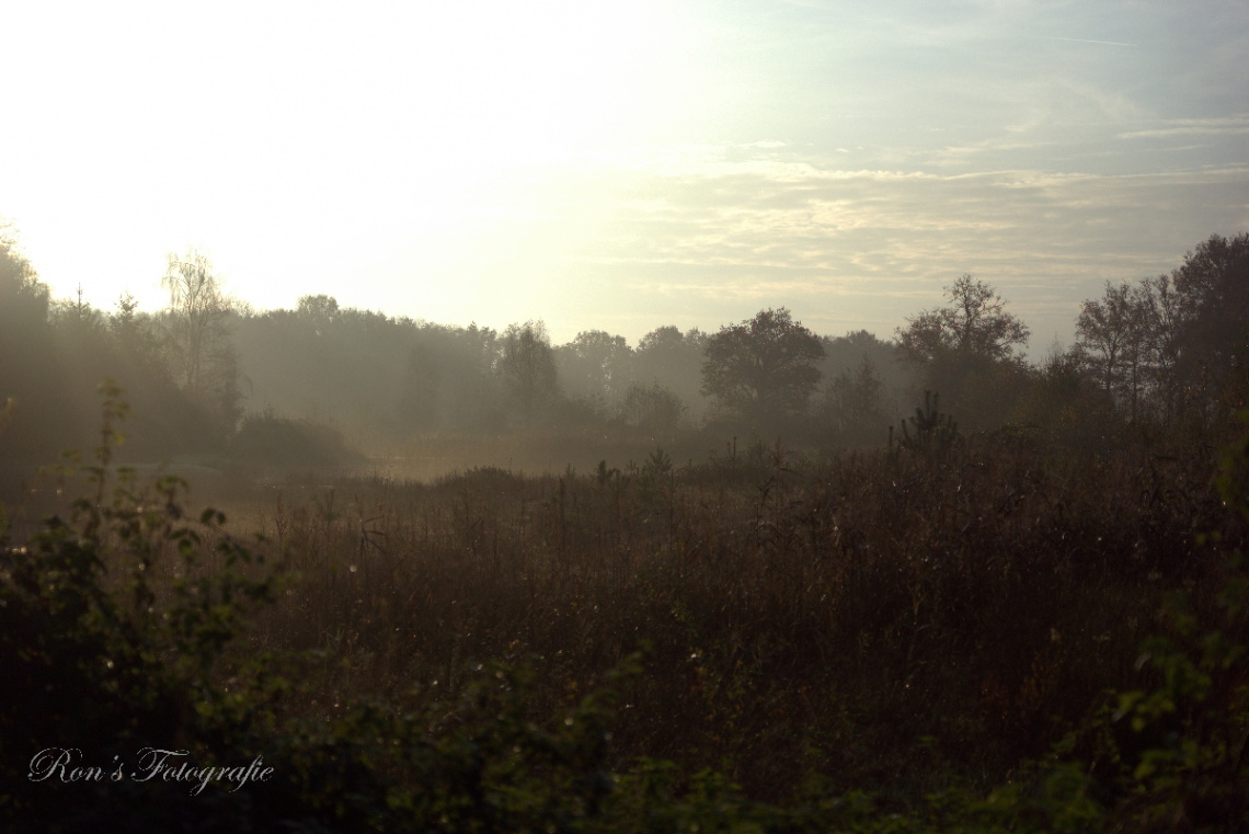 a misty morning